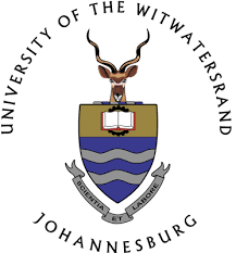 Wits logo